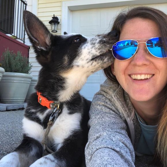 Meet your Posher, Sammie - Picture 2 of 5